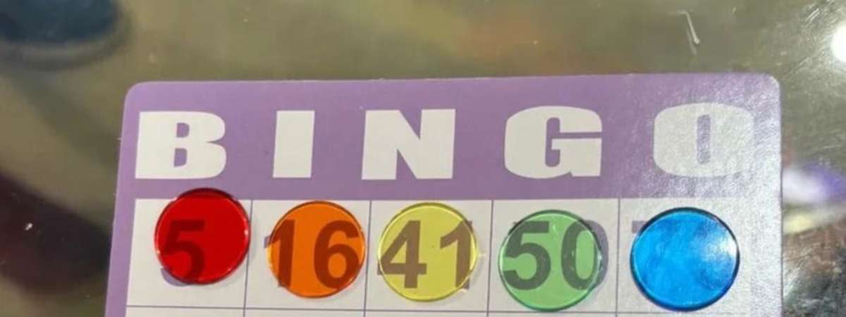 Houseplant Bingo