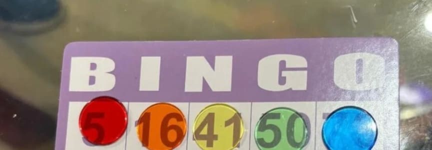 Houseplant Bingo