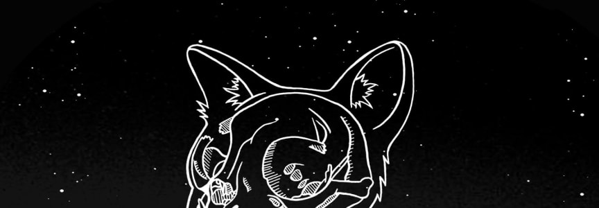 Stars at Night: Alison's Virgo Season Party