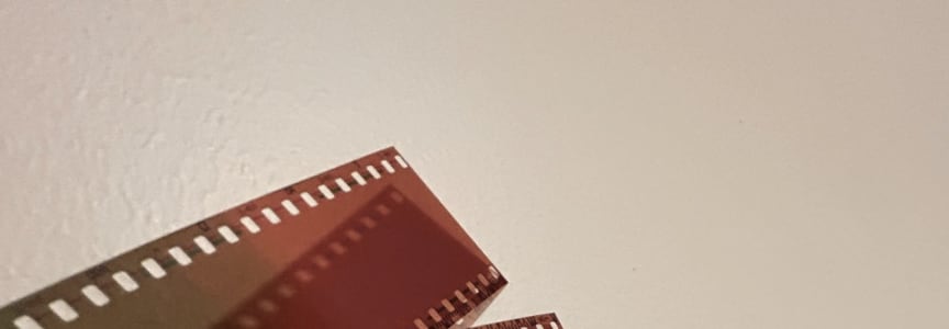 Develop Your Own Film with Chelsea Wyld