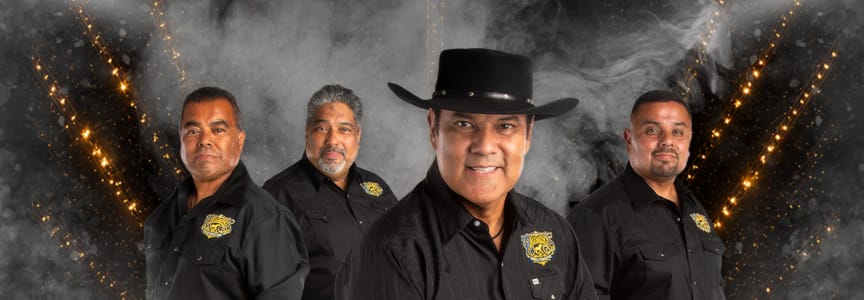 Los Palominos