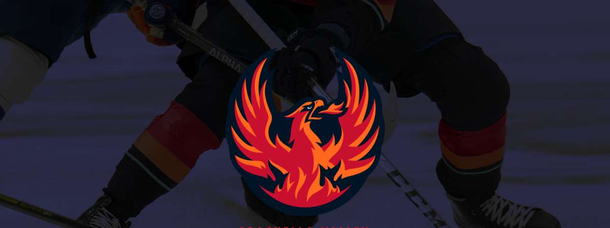Coachella Valley Firebirds vs. Tucson Roadrunners