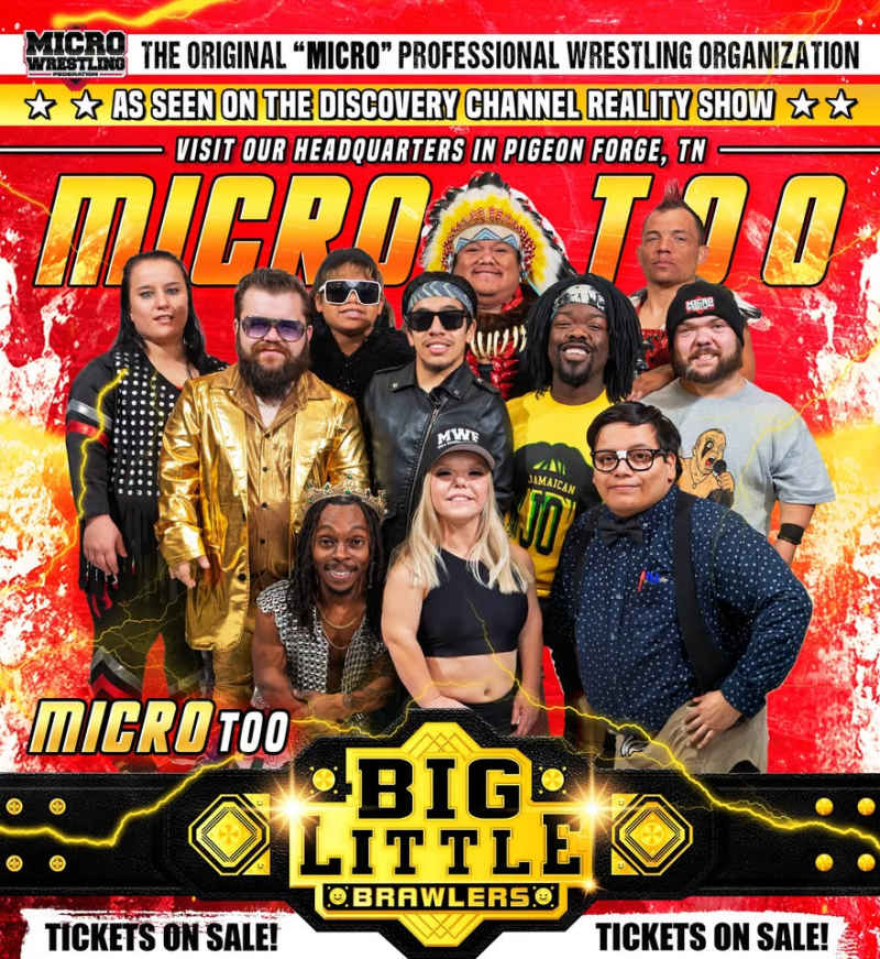 Micro Wrestling