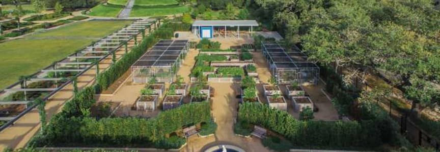 Garden & Nature Series: Birdscaping with Native Plants
