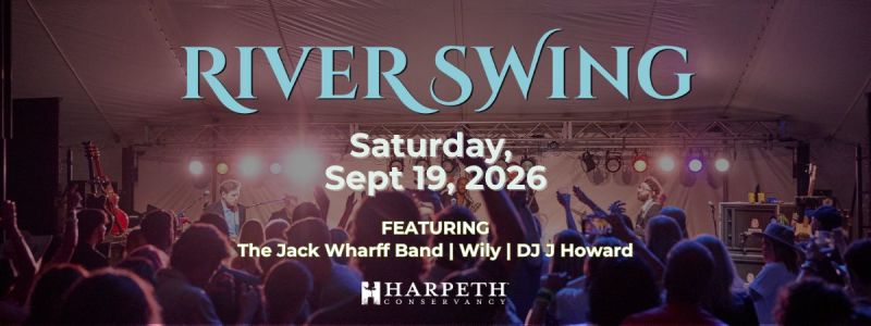 River Swing