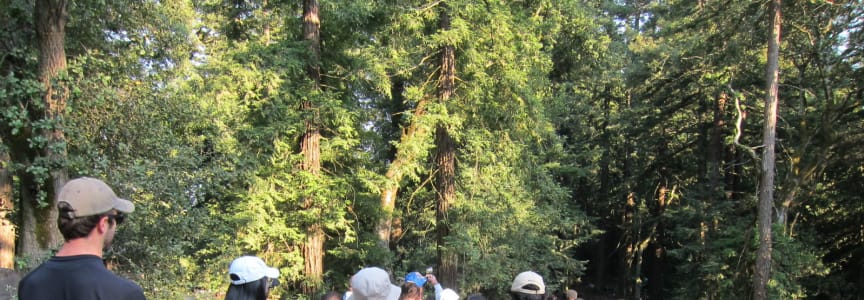 Hike & Sip