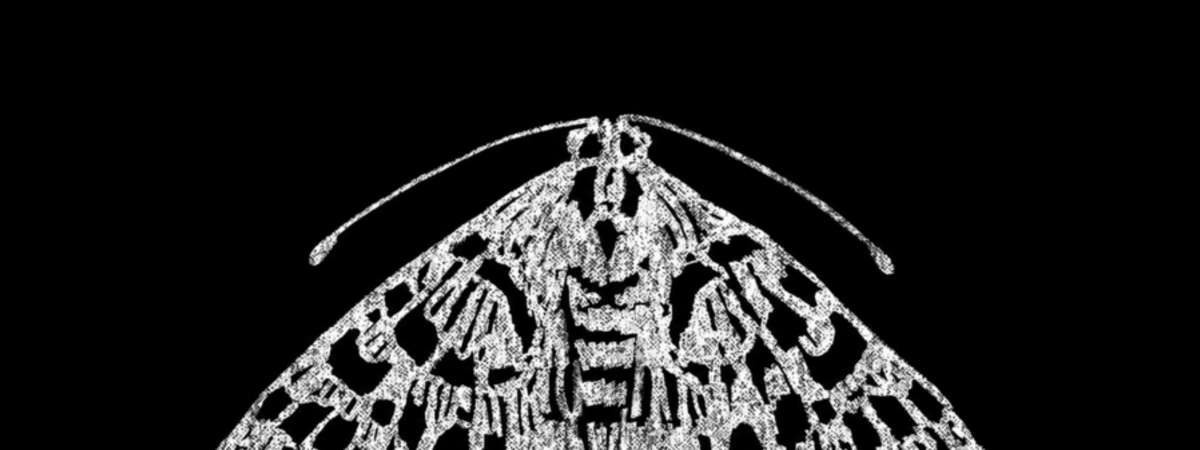The Moth