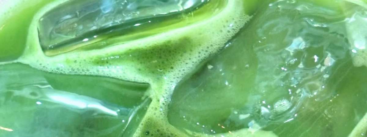 Matcha Meetup
