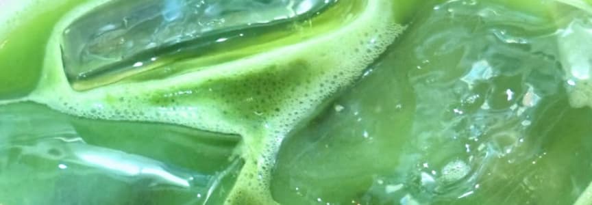 Matcha Meetup