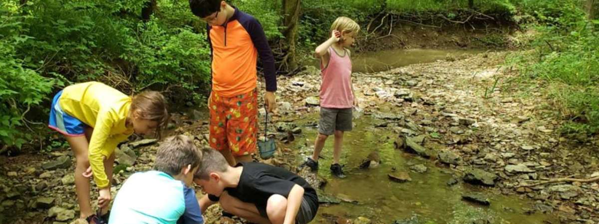 River Critter Exploration