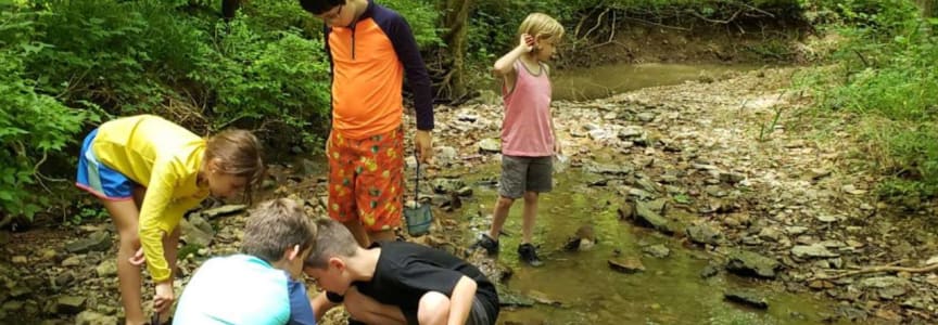 River Critter Exploration
