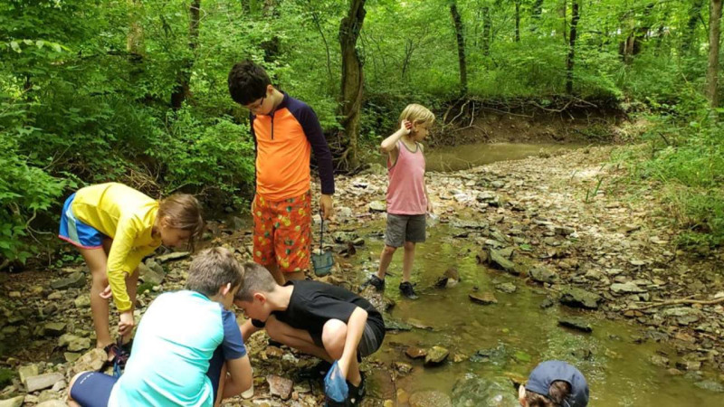 River Critter Exploration