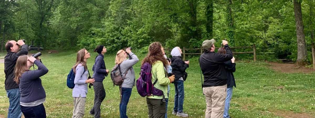 Birding the Interior of Warner Parks and Beech Grove