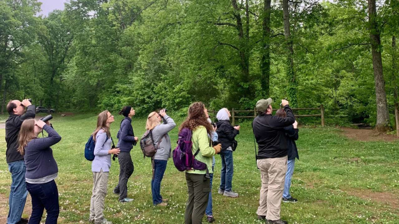 Birding the Interior of Warner Parks and Beech Grove