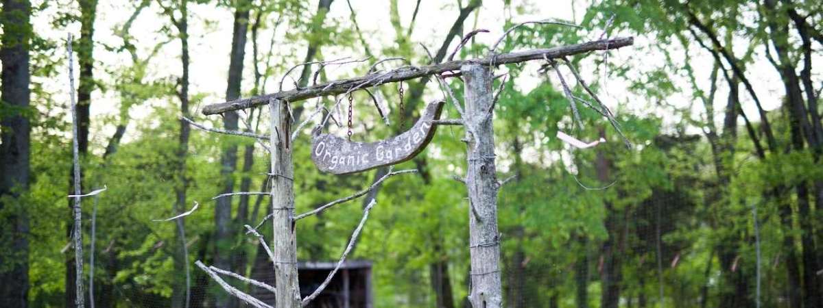 Ask a Master Gardener