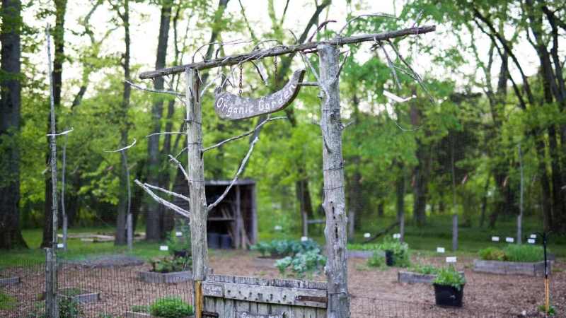 Ask a Master Gardener