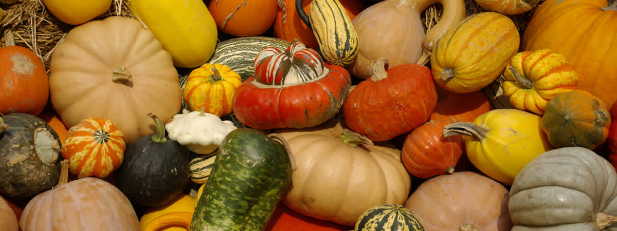Fresh Wednesday Market