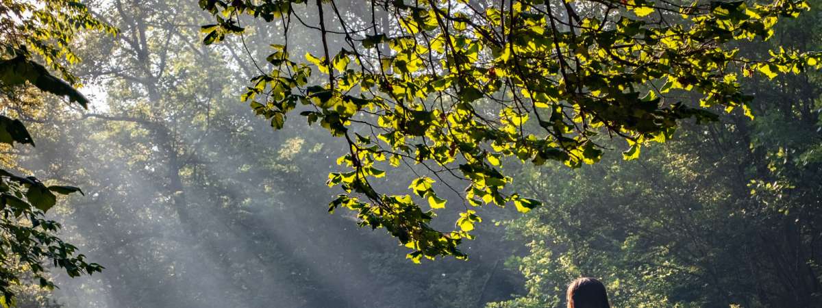 Rewilding Hike