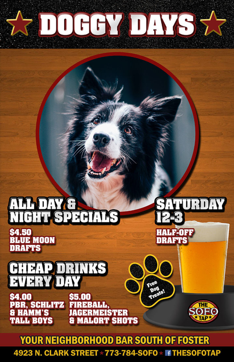 Wallpaper Doggy Days In Chicago At Sofo Tap Free HD