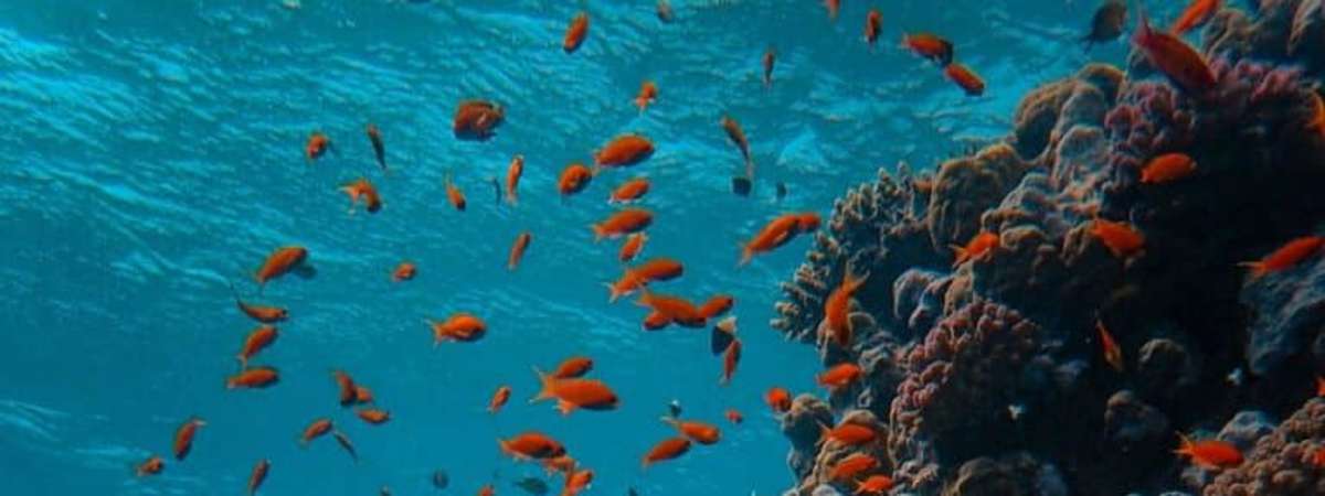 Science Pub: Beyond the Titanic Disaster
