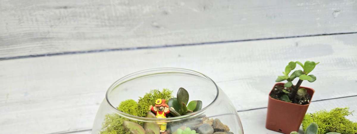 Fall Pumpkin Terrariums