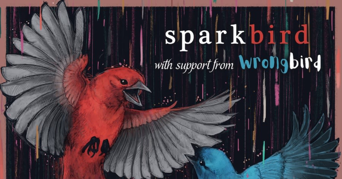 Sparkbird / Wrongbird Austin concert poster