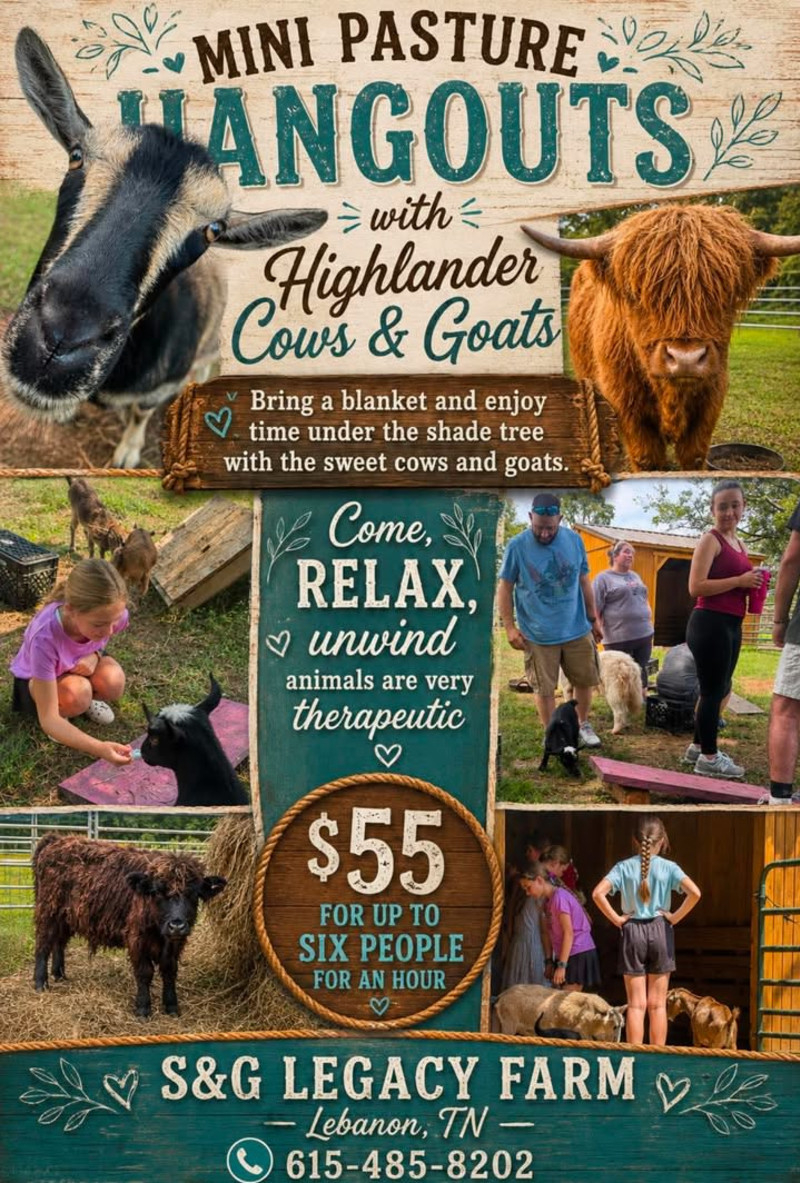 October - Hangout Sessions - You, Goats and Cows - Click for showtimes