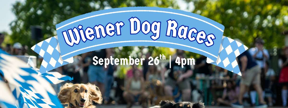 Wiener Dog Races