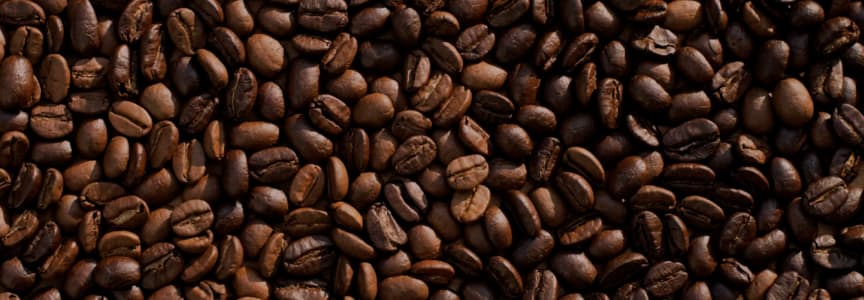 Coffee 101