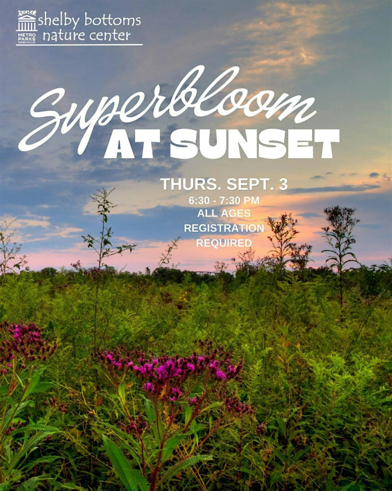 Superbloom