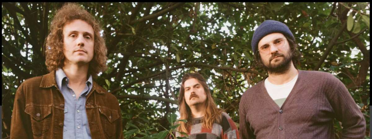 Triptides