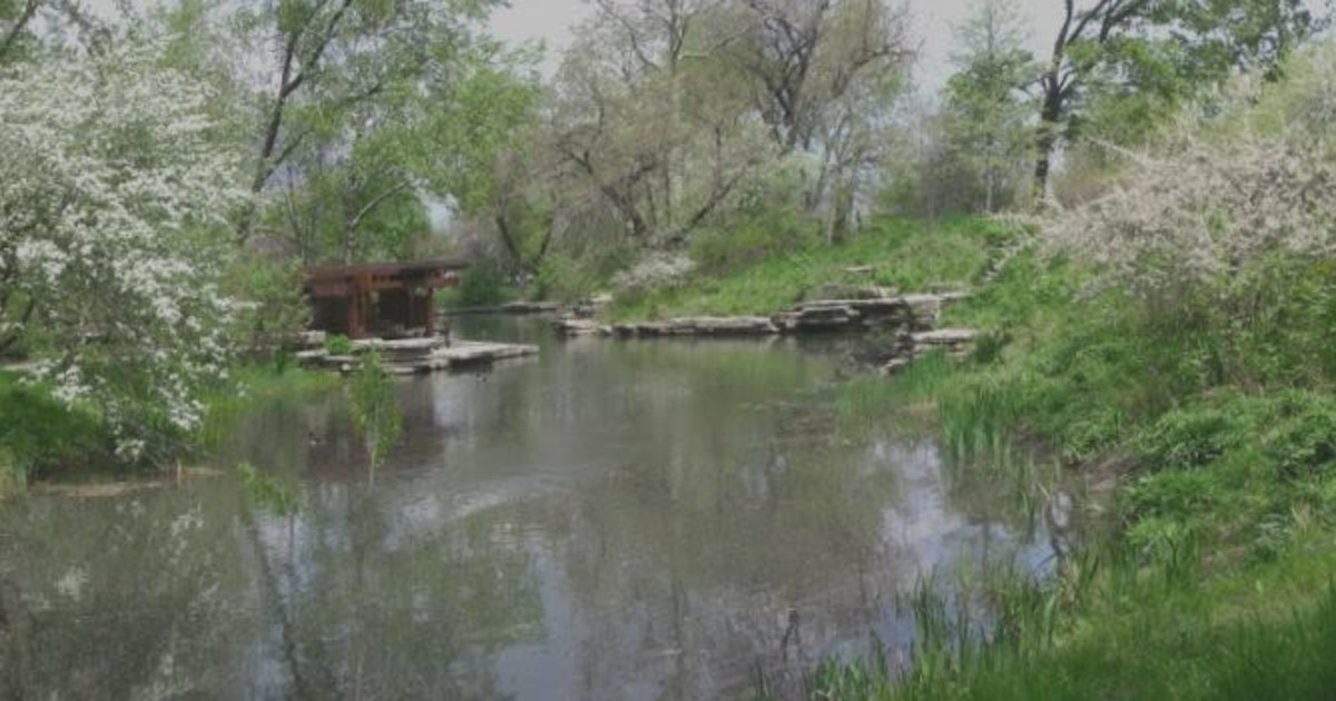 Private Outdoor Sound Bath in Nature