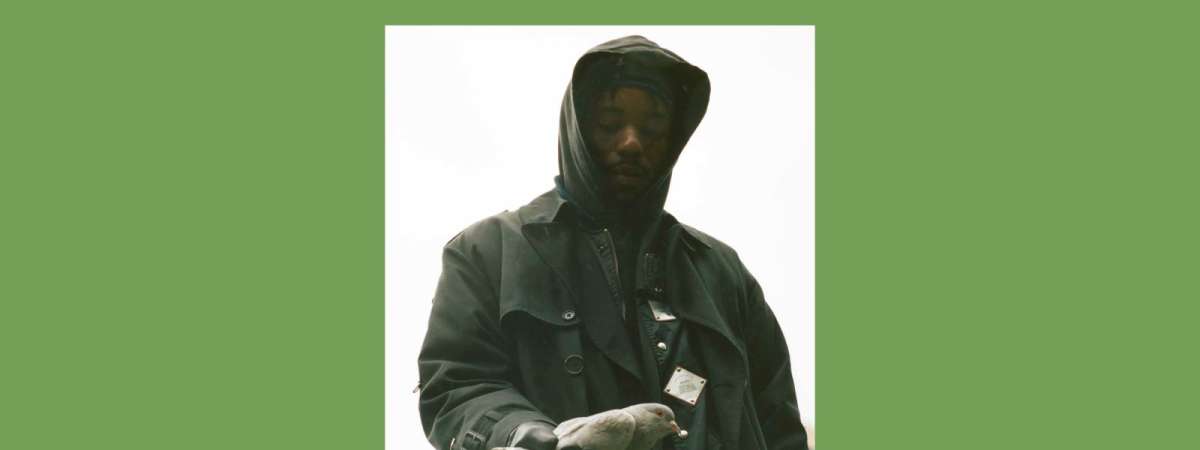 Montell Fish