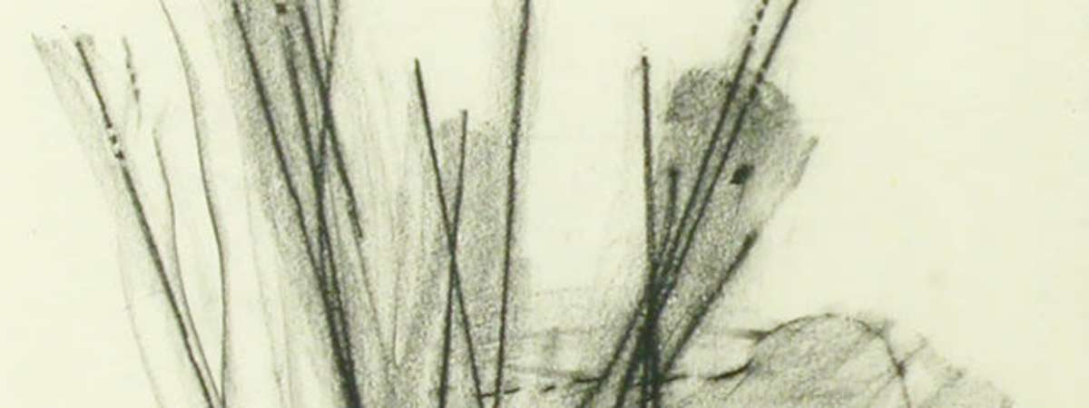 Lunchtime Art Talk on Henri Michaux