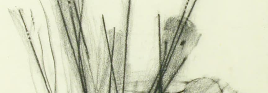 Lunchtime Art Talk on Henri Michaux