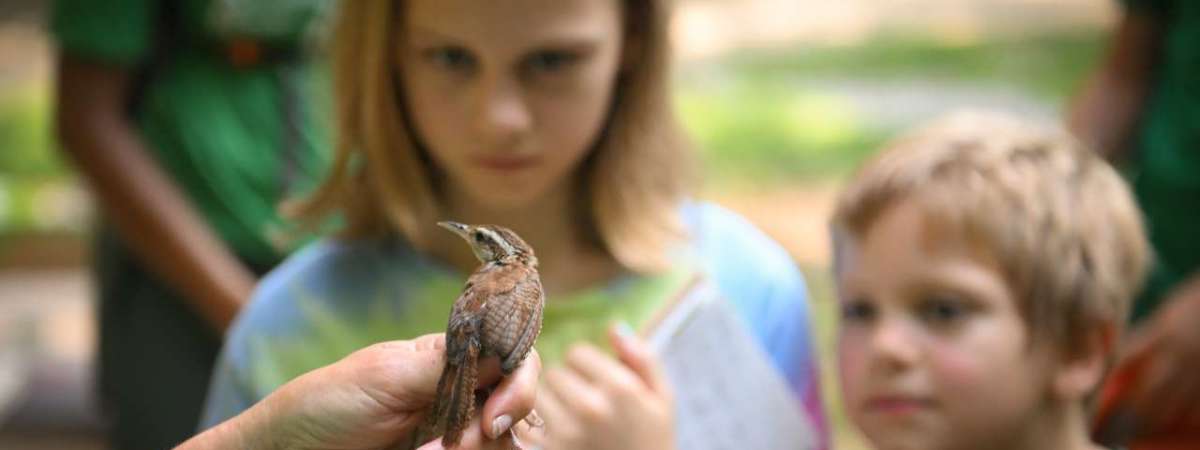 Fall Migration Bird Banding Research