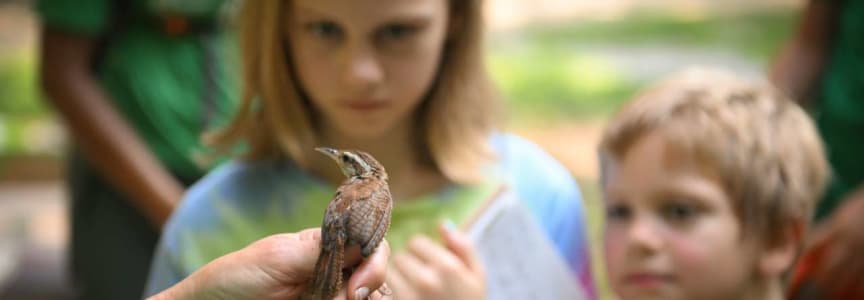 Fall Migration Bird Banding Research