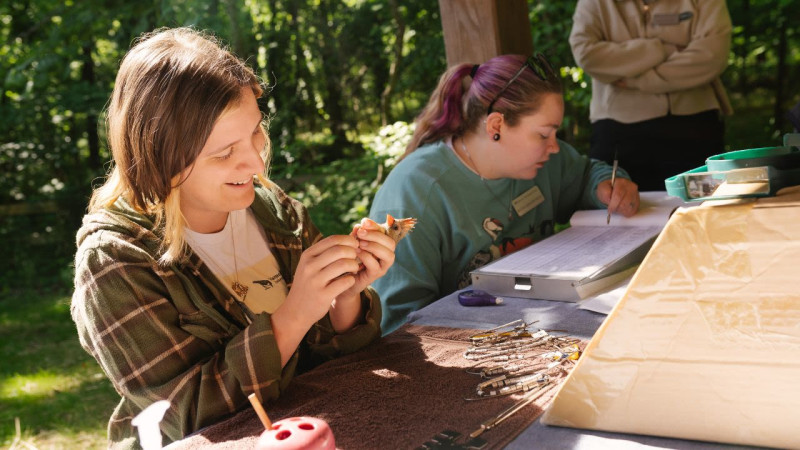 Fall Migration Bird Banding Research