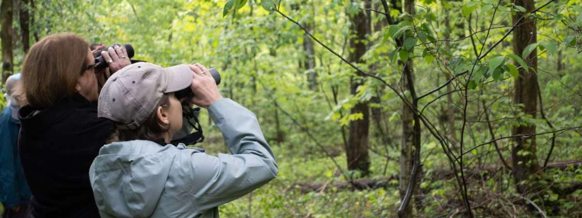 Family Bird Walk at the Nature Center