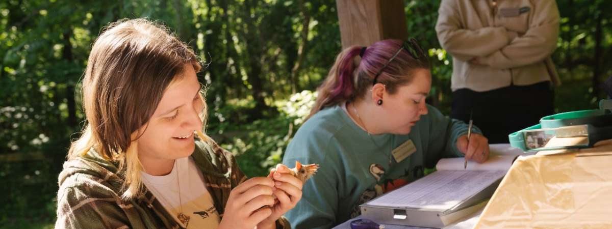 Fall Migration Bird Banding Research