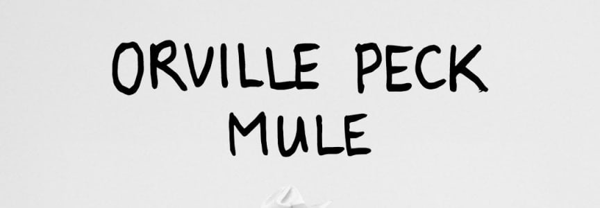 Orville Peck Mule Advance Listening Party