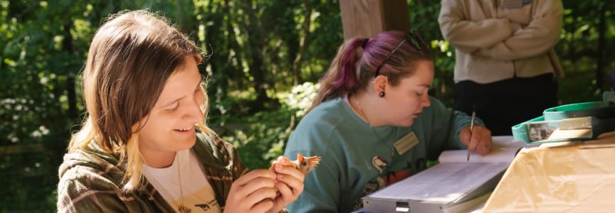 Fall Migration Bird Banding Research