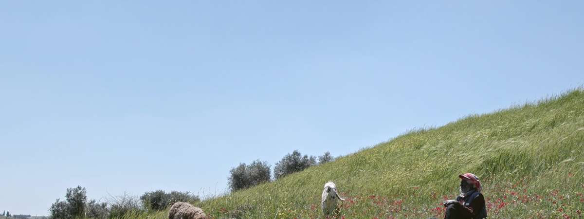 Concrete Land Insights