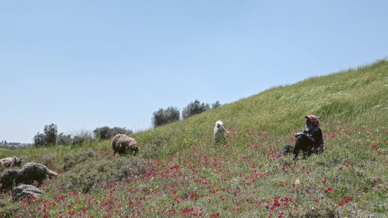 Concrete Land Insights