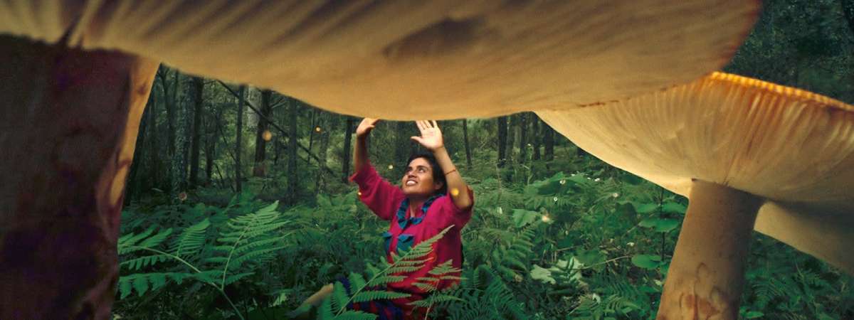 Daughters of the Forest Hijas del bosque
Spectrum