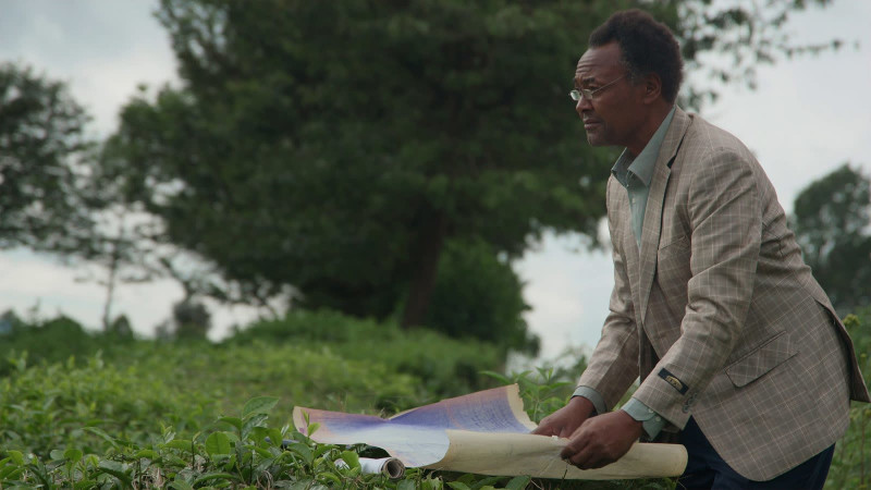 Kikuyu Land Insights