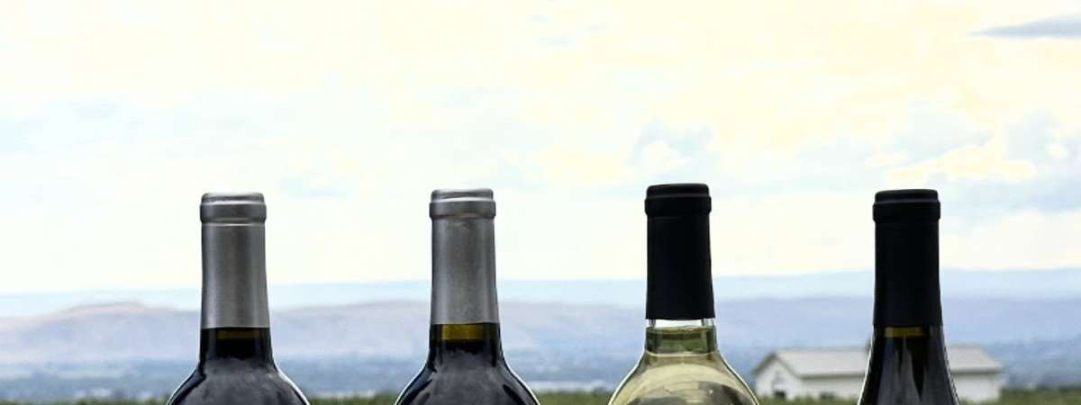 Dineen Vineyards Pop-Up