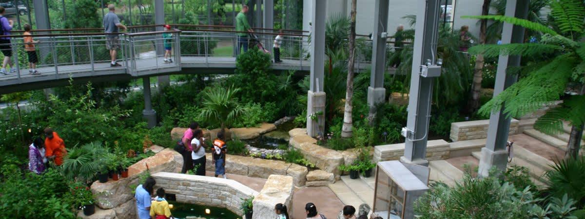 Homeschool Day: Monarch Migration