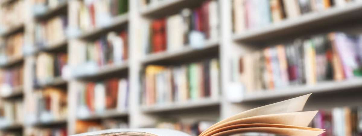 Vintage Book Sale at Lahaska Bookshop