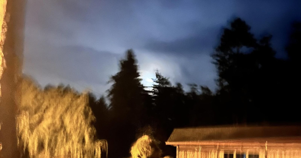 HIGH MOON - A WEREWOLF WESTERN